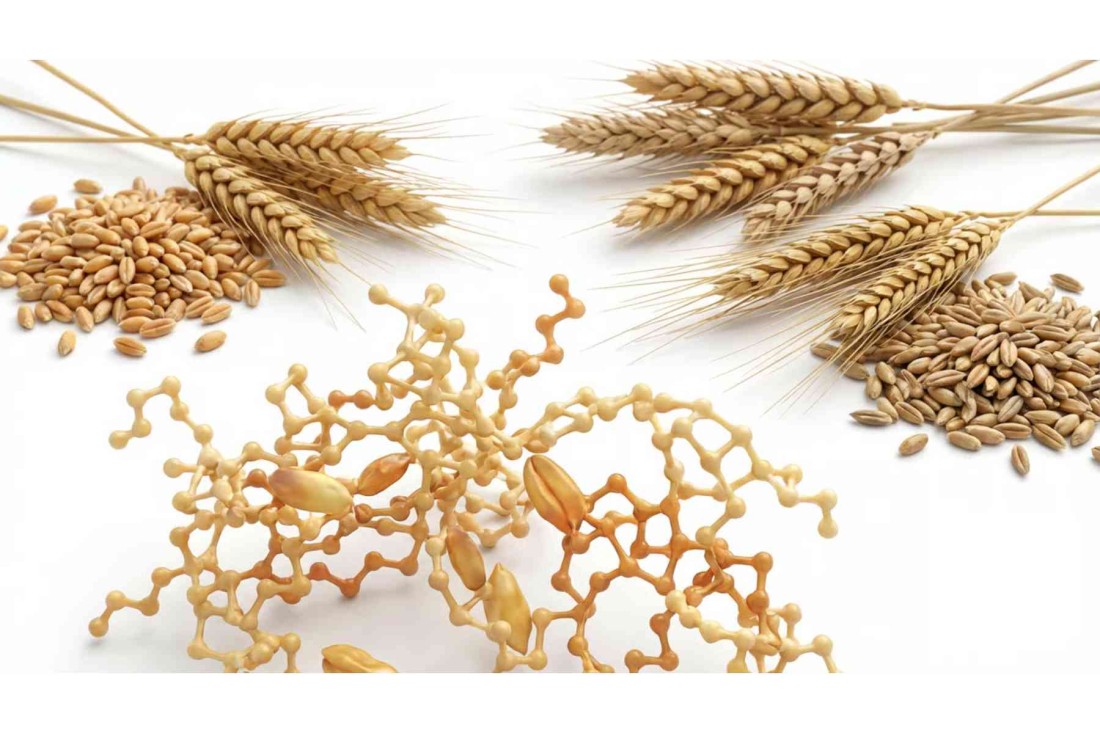 Intoleranța la gluten: Simptome, diferențe față de boala celiacă și alimente de evitat