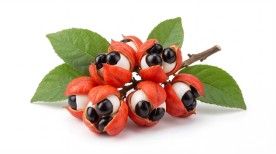 Beneficii guarana
