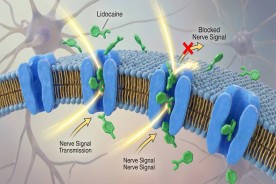 Lidocaina: gel, spray și plasturi. Ce este lidocaina și cum se administrează?