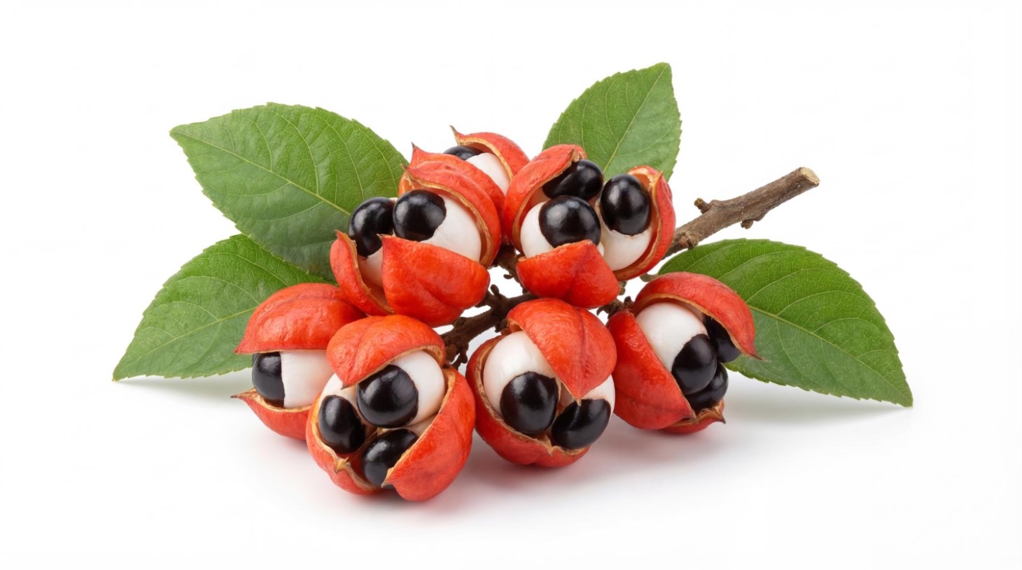 Beneficii guarana