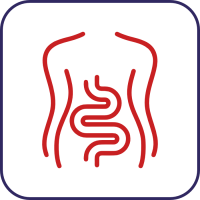 Suplimente digestie și detoxifiere