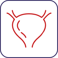 Suplimente infecție urinară